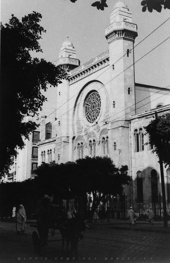ORAN 02403.jpg